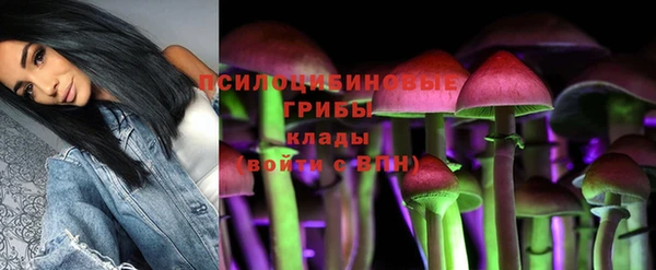 прущая мука Балахна