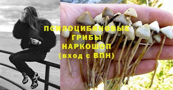 ECSTASY Арсеньев