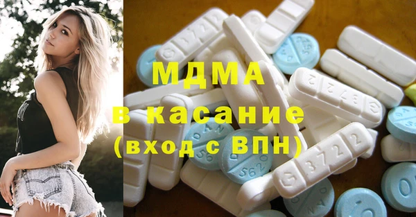 индика Алексин